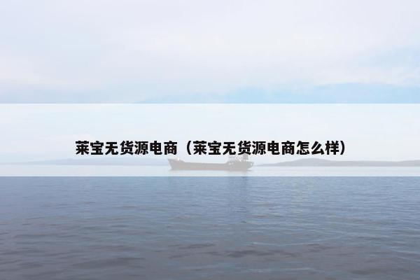 莱宝无货源电商（莱宝无货源电商怎么样）