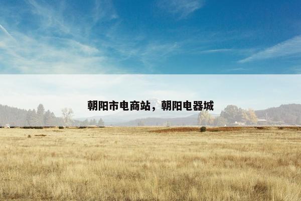 朝阳市电商站，朝阳电器城