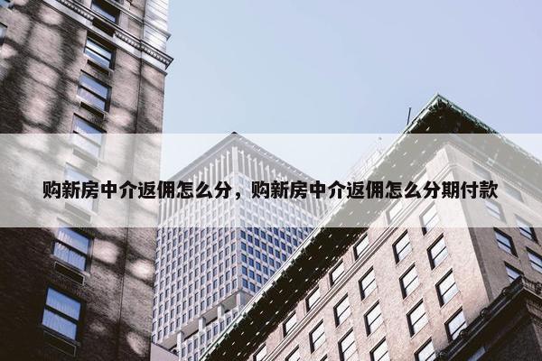 购新房中介返佣怎么分，购新房中介返佣怎么分期付款