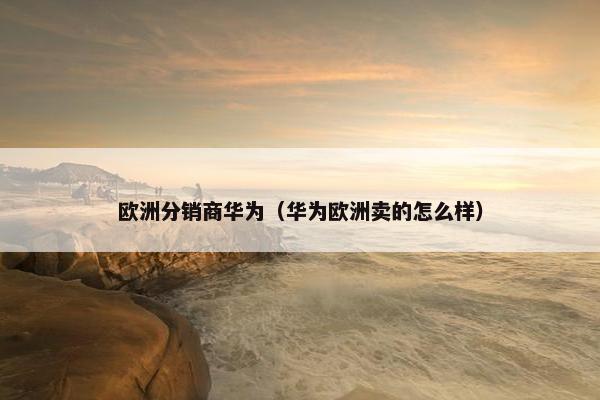 欧洲分销商华为（华为欧洲卖的怎么样）