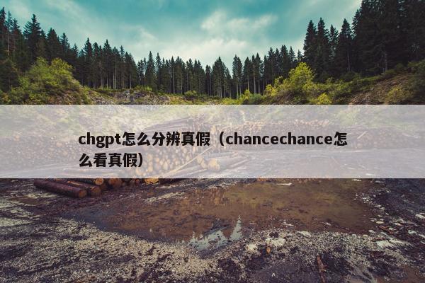 chgpt怎么分辨真假（chancechance怎么看真假）