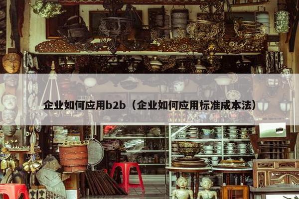 企业如何应用b2b（企业如何应用标准成本法）