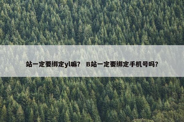 站一定要绑定yl嘛？ B站一定要绑定手机号吗？