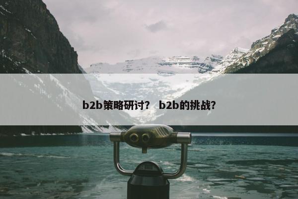 b2b策略研讨？ b2b的挑战？
