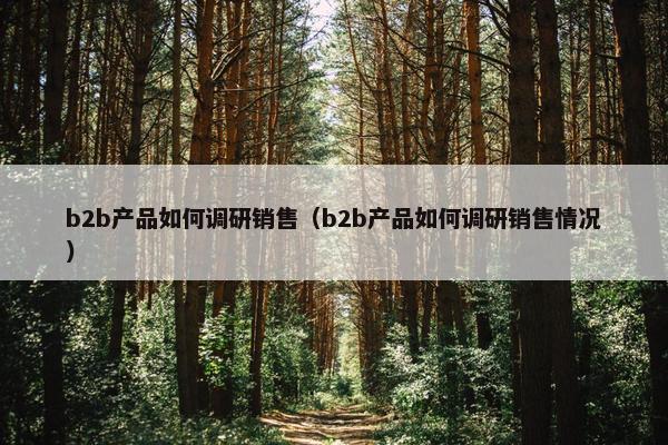 b2b产品如何调研销售（b2b产品如何调研销售情况）
