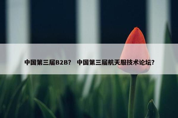 中国第三届B2B？ 中国第三届航天服技术论坛？