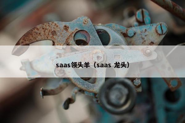 saas领头羊（saas 龙头）