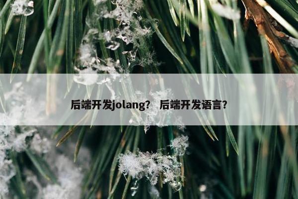 后端开发jolang？ 后端开发语言？
