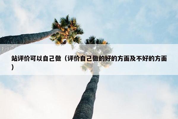 站评价可以自己做（评价自己做的好的方面及不好的方面）