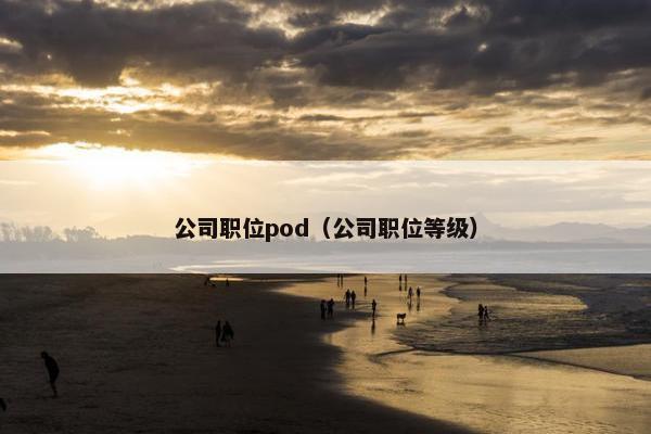 公司职位pod（公司职位等级）