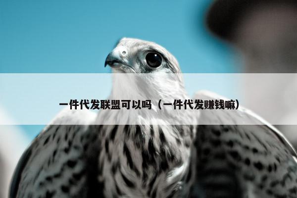 一件代发联盟可以吗（一件代发赚钱嘛）