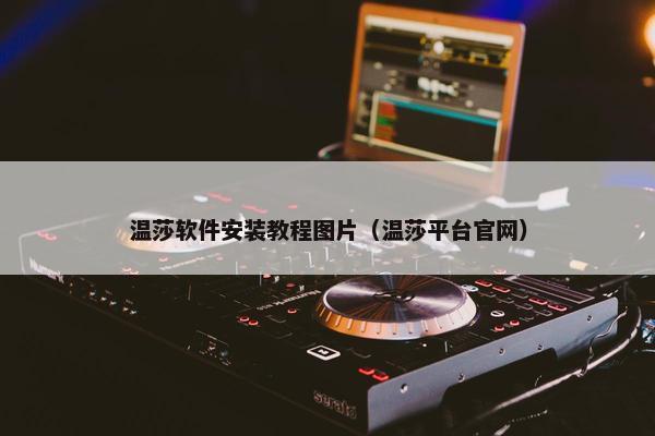 温莎软件安装教程图片（温莎平台官网）