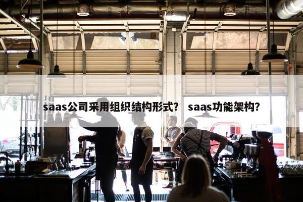 saas公司采用组织结构形式？ saas功能架构？