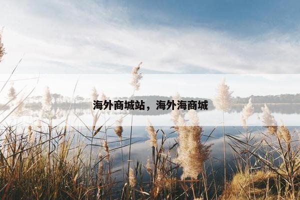 海外商城站，海外海商城