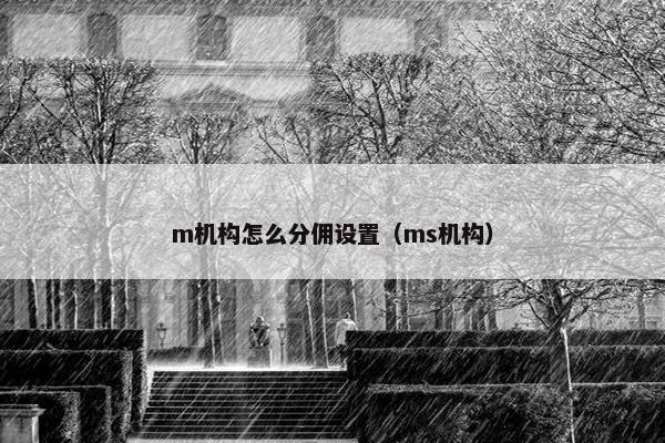 m机构怎么分佣设置（ms机构）