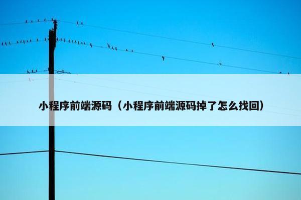 小程序前端源码（小程序前端源码掉了怎么找回）