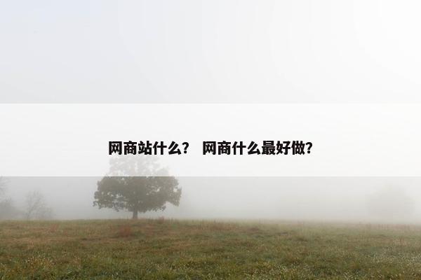 网商站什么？ 网商什么最好做？