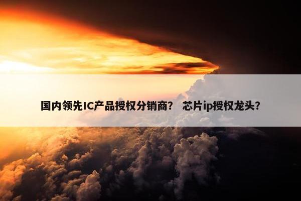 国内领先IC产品授权分销商？ 芯片ip授权龙头？