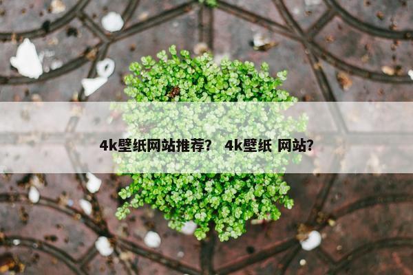 4k壁纸网站推荐？ 4k壁纸 网站？