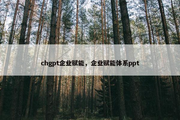 chgpt企业赋能，企业赋能体系ppt