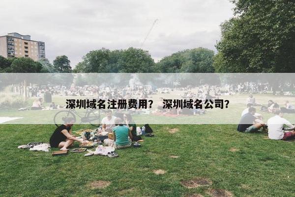 深圳域名注册费用？ 深圳域名公司？