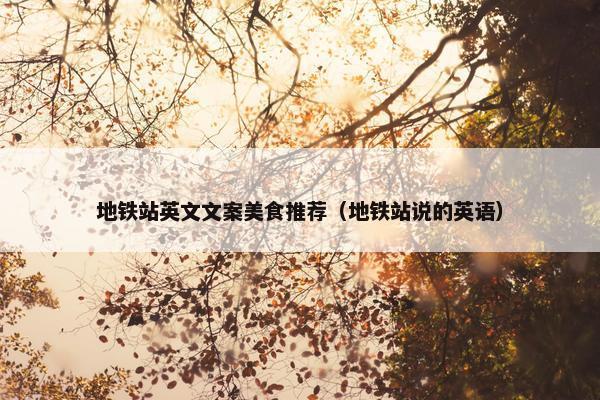 地铁站英文文案美食推荐（地铁站说的英语）