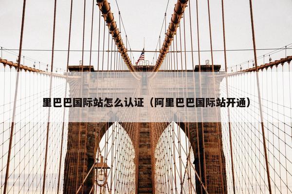 里巴巴国际站怎么认证（阿里巴巴国际站开通）