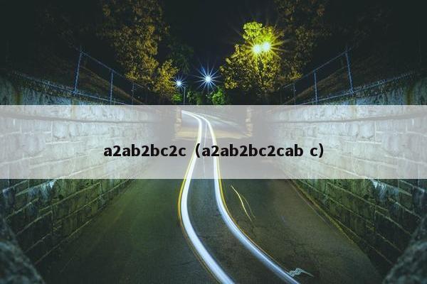 a2ab2bc2c（a2ab2bc2cab c）