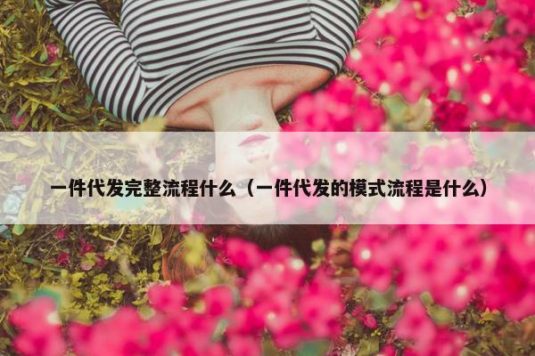 一件代发完整流程什么（一件代发的模式流程是什么）