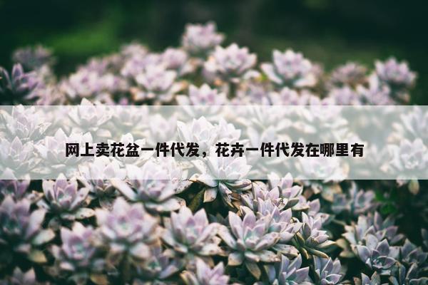 网上卖花盆一件代发，花卉一件代发在哪里有