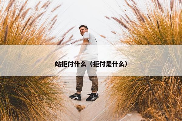 站拒付什么（拒付是什么）