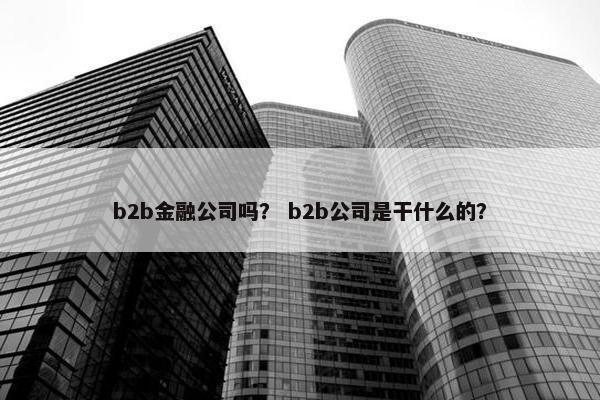 b2b金融公司吗？ b2b公司是干什么的？