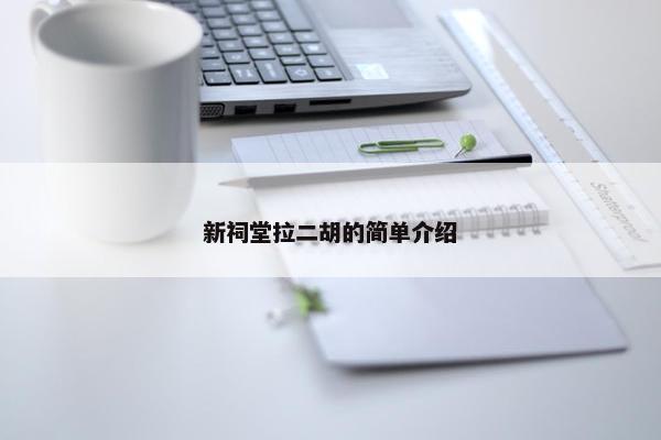 新祠堂拉二胡的简单介绍