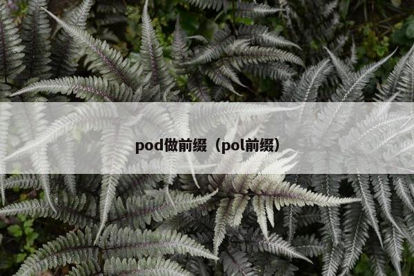 pod做前缀（pol前缀）