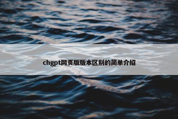 chgpt网页版版本区别的简单介绍