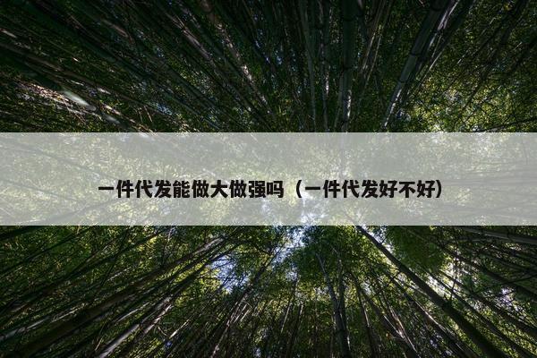 一件代发能做大做强吗（一件代发好不好）