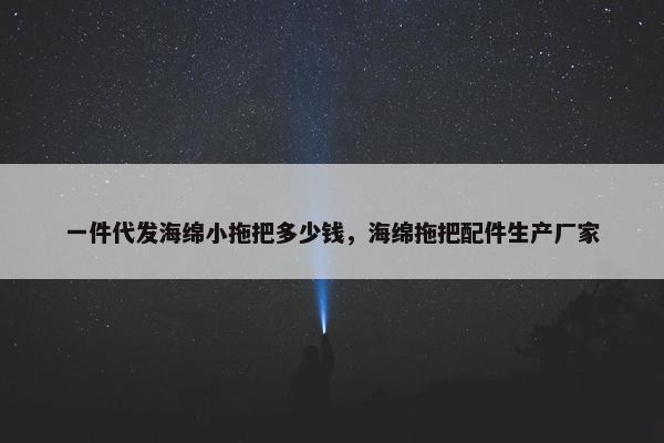 一件代发海绵小拖把多少钱，海绵拖把配件生产厂家