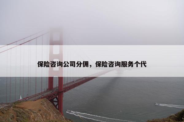 保险咨询公司分佣，保险咨询服务个代