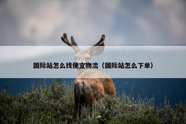 国际站怎么找便宜物流（国际站怎么下单）