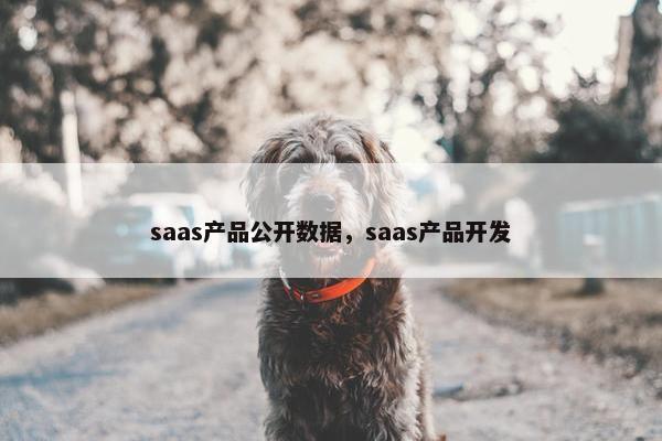 saas产品公开数据，saas产品开发