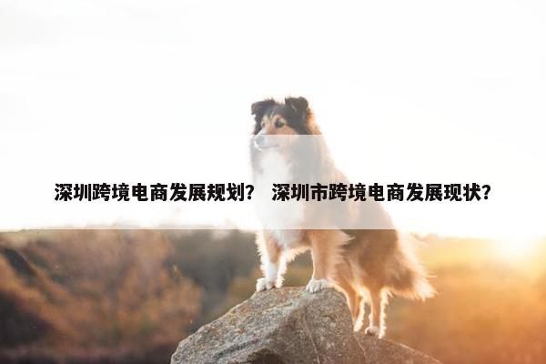 深圳跨境电商发展规划？ 深圳市跨境电商发展现状？