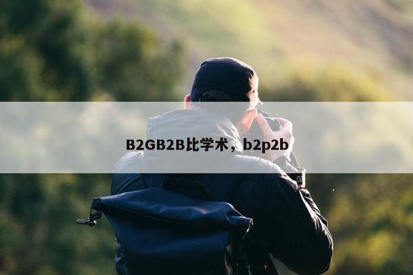 B2GB2B比学术，b2p2b