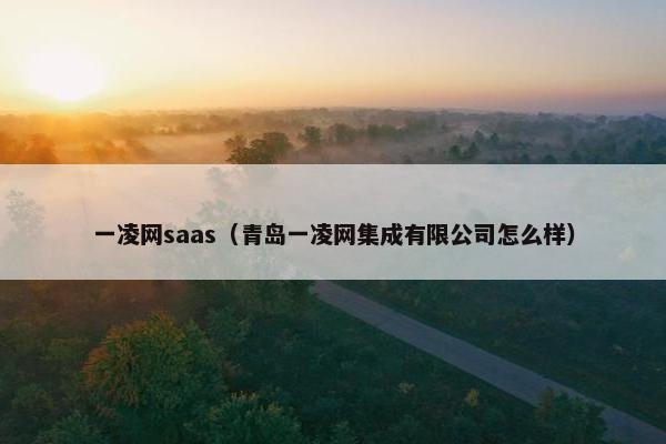 一凌网saas（青岛一凌网集成有限公司怎么样）
