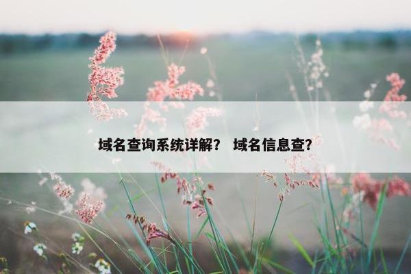 域名查询系统详解？ 域名信息查？
