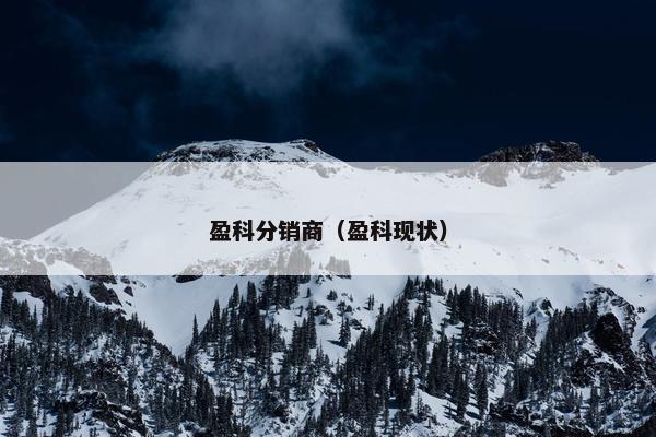 盈科分销商（盈科现状）