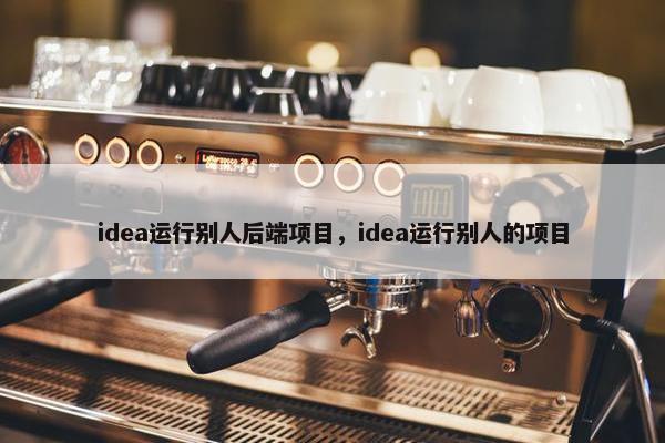 idea运行别人后端项目，idea运行别人的项目