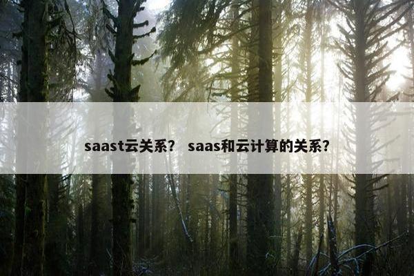 saast云关系？ saas和云计算的关系？