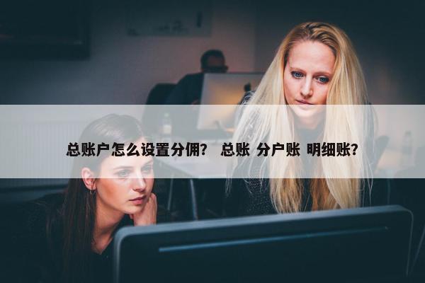总账户怎么设置分佣？ 总账 分户账 明细账？