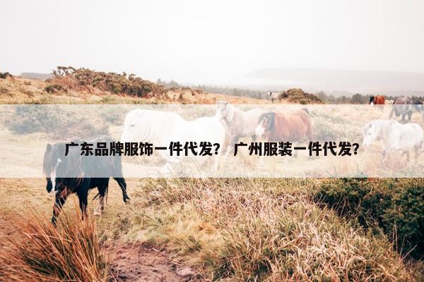 广东品牌服饰一件代发？ 广州服装一件代发？