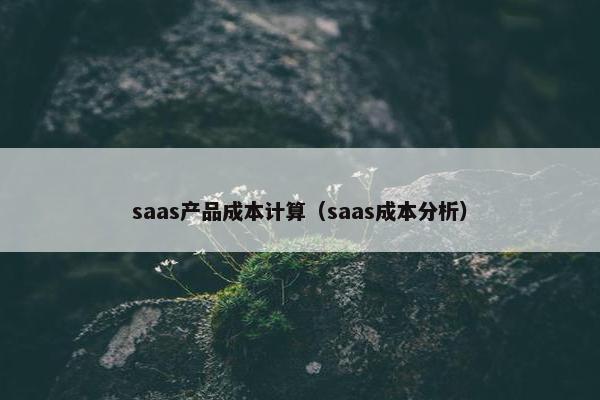 saas产品成本计算（saas成本分析）
